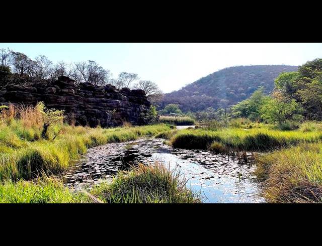 FARM FOR SALE IN LEPHALALE RURAL